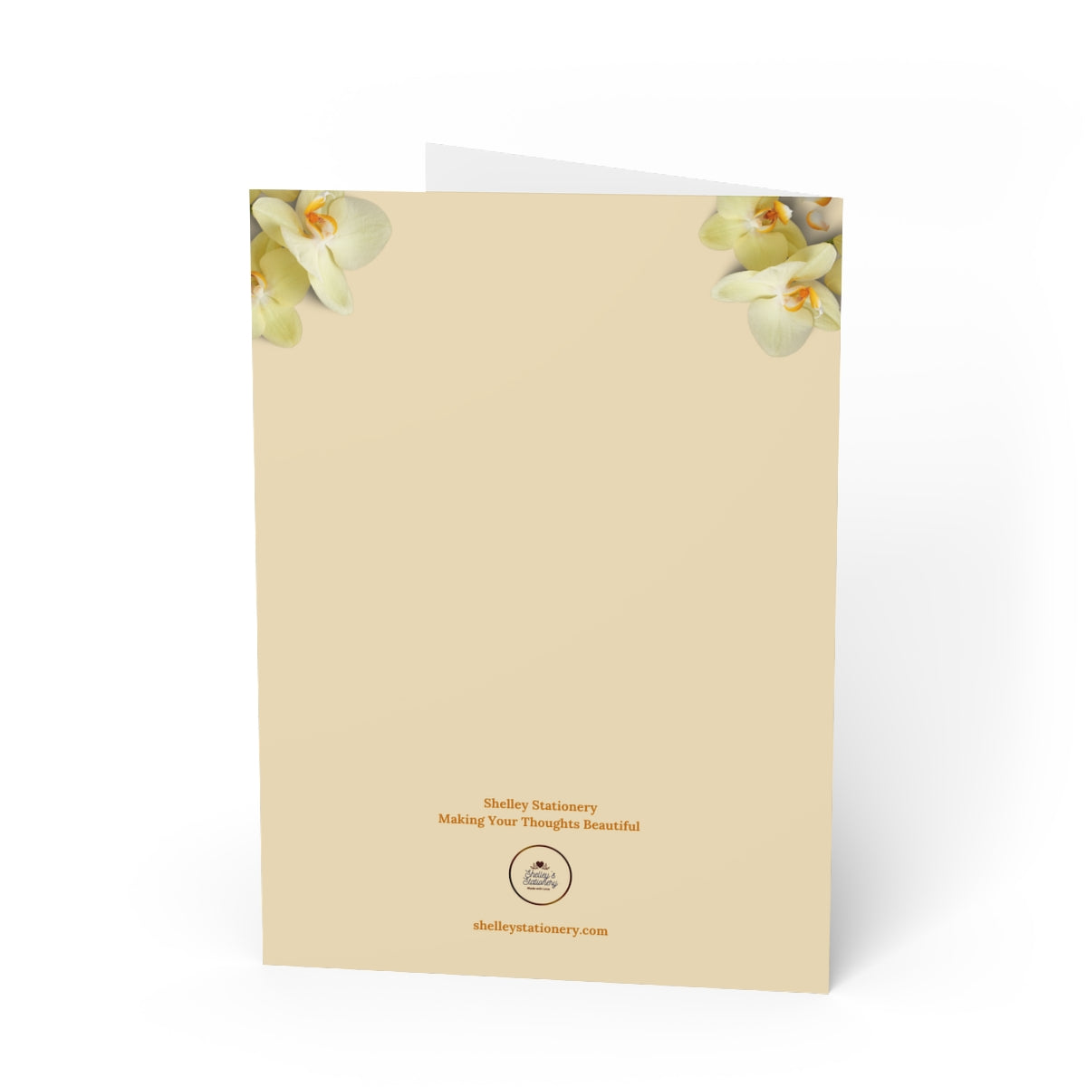 Thinking of You, True Friend/JW Greeting Cards/Set of 10